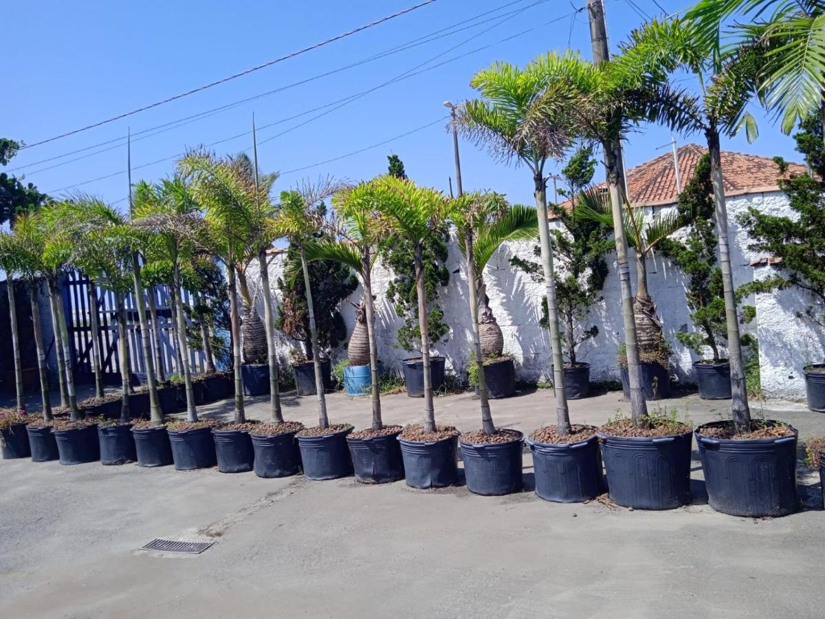 Pousada Sereia Jofisa Itanhaém Exterior foto