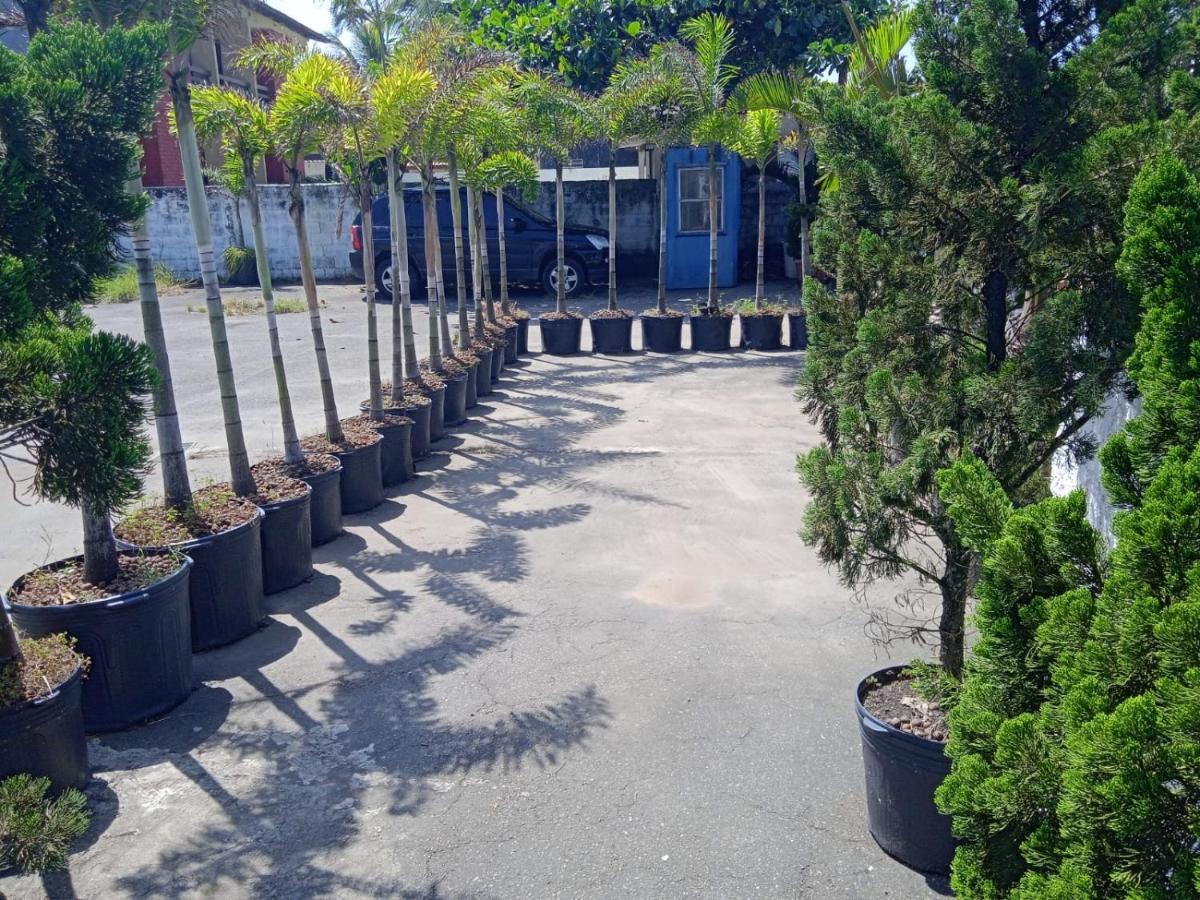 Pousada Sereia Jofisa Itanhaém Exterior foto